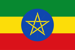 [lot 11] Yirgacheffe Banko Gotiti Natural